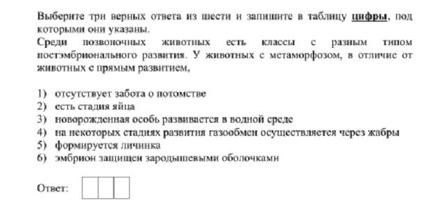 Kra21.gl